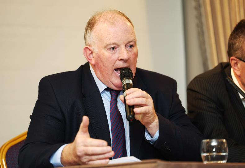 Gorman to run for IFA presidency - Vimarsana News