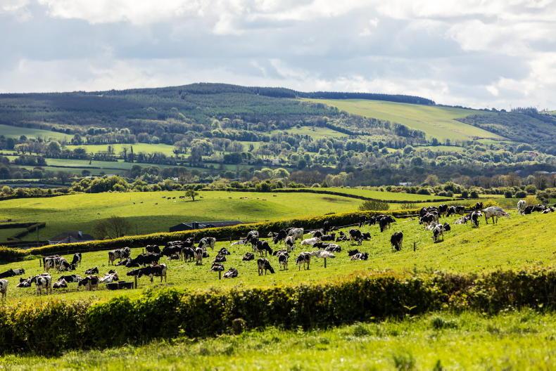 Dairy Management: dry weather and reseeds under pressure - Vimarsana News