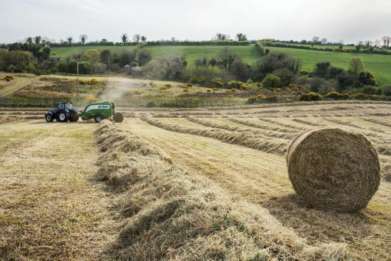 NI roundup: diesel prices and TB study