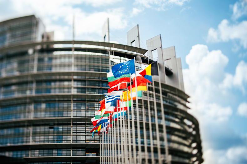 Opinion: Sinn Féin set for its best Euro elections in 2024 - Vimarsana News