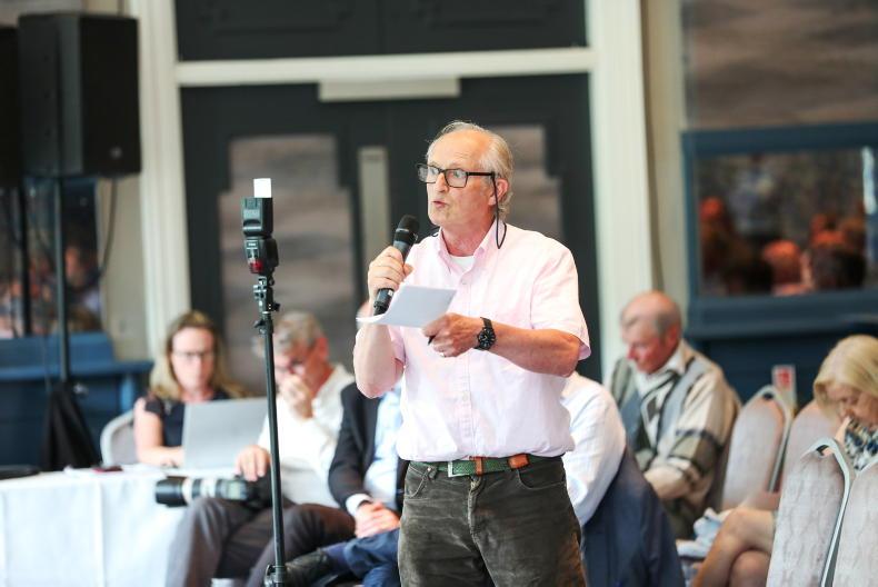 Plantation owners vent anger in Tullamore over ash dieback - Vimarsana News