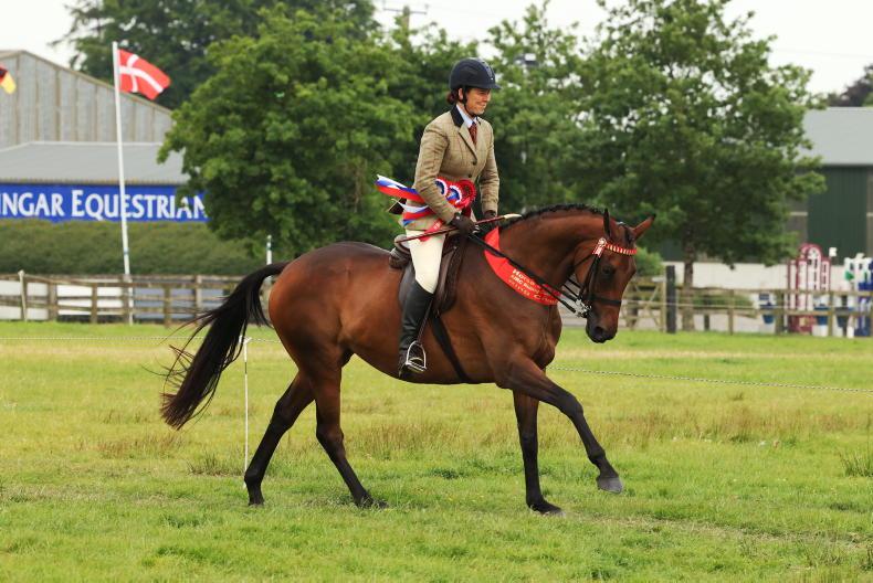 A perfectly pitched show        