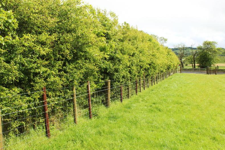 Farmers lose out on ACRES places due to de-listed adviser - Vimarsana News