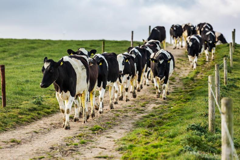 Lakeland and Dale Farm cut May milk prices - Vimarsana News