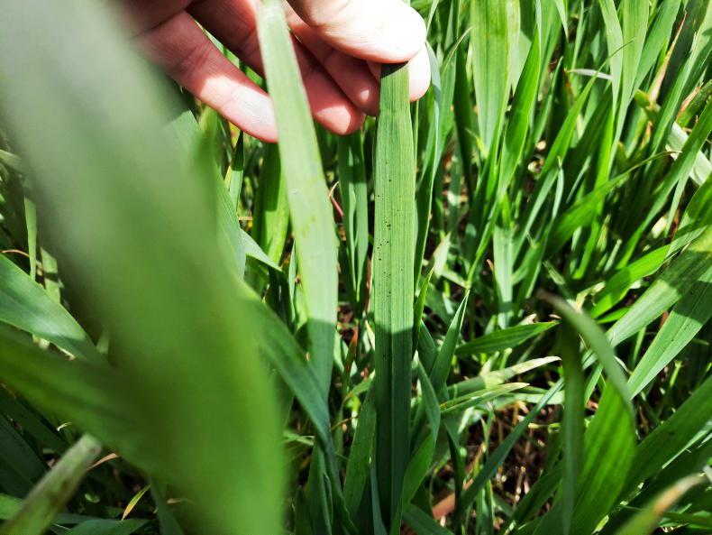 Regenerative agriculture - will it provide a way forward for increased carbon? - Vimarsana News