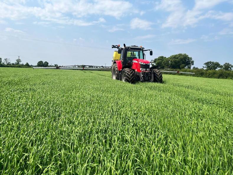 Spraying winds down as rain eases stress on crops - Vimarsana News