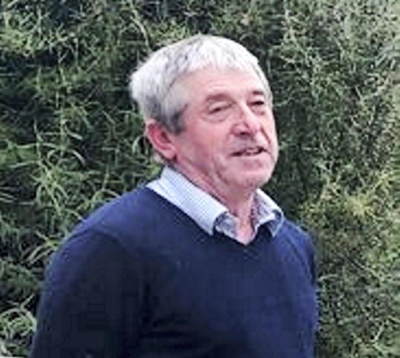 Kerry IFA dispute rumbles on - Vimarsana News