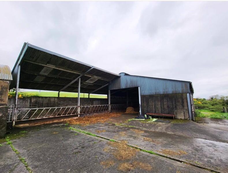 Co Clare farm makes €19,000/ac - Vimarsana News
