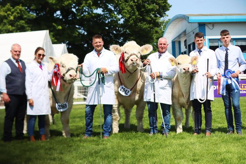 In pictures: Irish stars shining bright at Royal Highland Show in Edinburgh - Vimarsana News