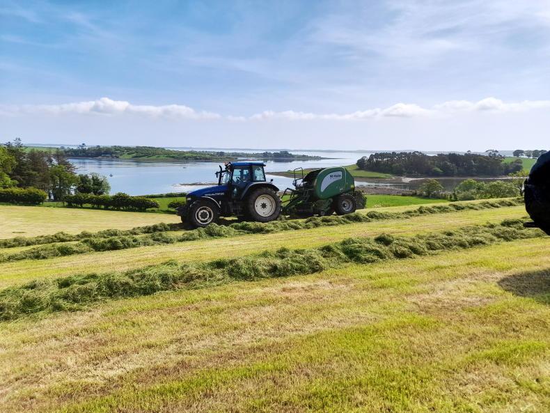 The aroma of a perfect silage season - Vimarsana News
