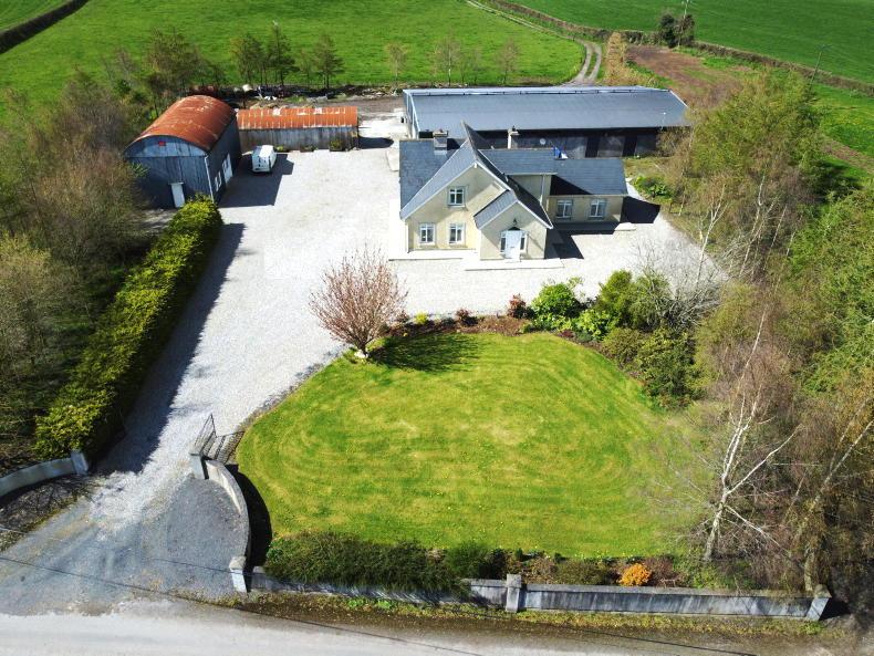 50ac Laois farm makes €28,000/ac - Vimarsana News