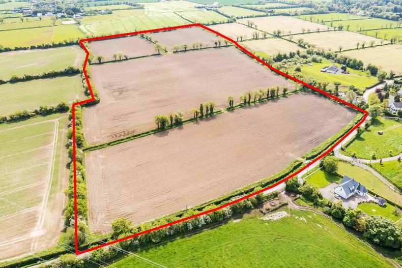 Co Meath farm gets €25,000/ac at auction - Vimarsana News