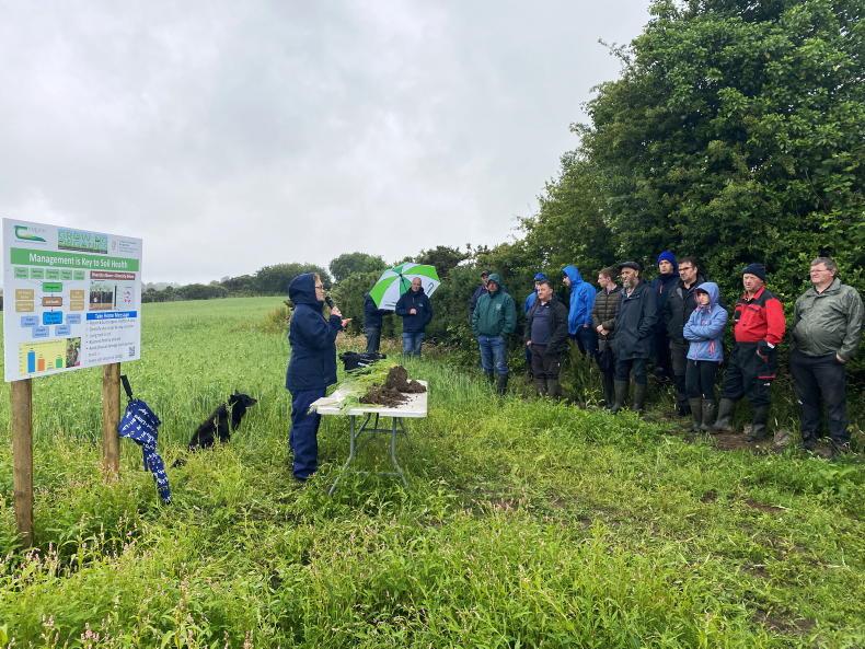 Farmer Writes: Organics isn't for everyone but can be very successful 30 June 2023 Free - Vimarsana News