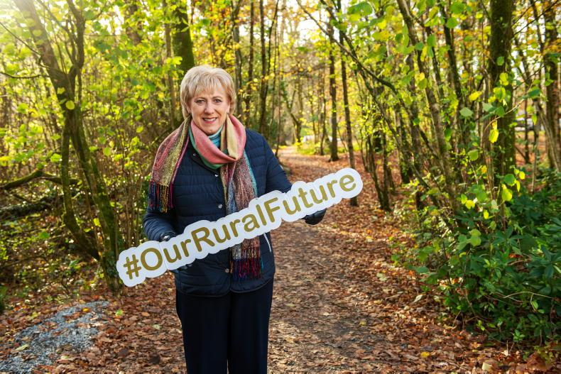 €3m funding for Coillte develop parks and outdoor amenities 