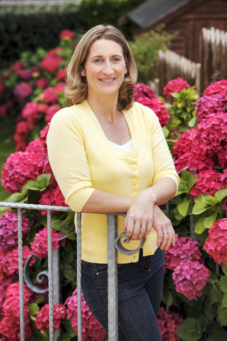 Steps to success: systems and processes                      