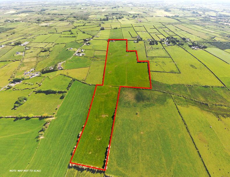 Two blocks of grazing land in Roscommon - Vimarsana News