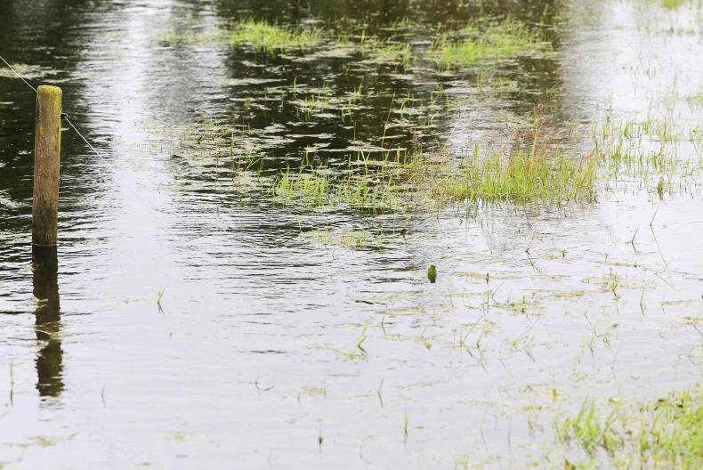 Loughrea Mart flooded as rain wreaks havoc nationwide - Vimarsana News