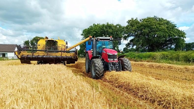 Barley breaking down in difficult conditions - Vimarsana News