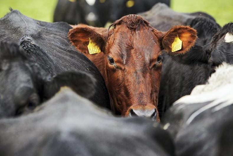 EPA defends science behind nitrates map - Vimarsana News