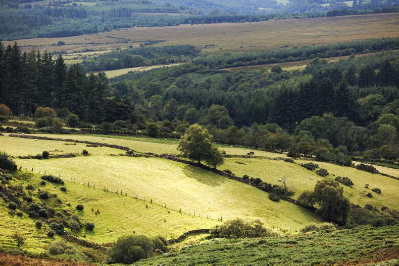 Abandoning ANC land would harm protected habitats - EU report