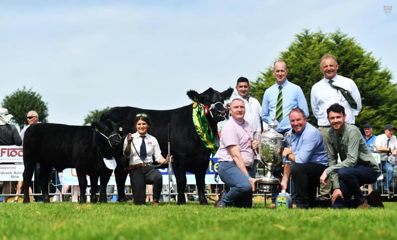 Cloone show to host All-Ireland Aberdeen Angus competition - Vimarsana News