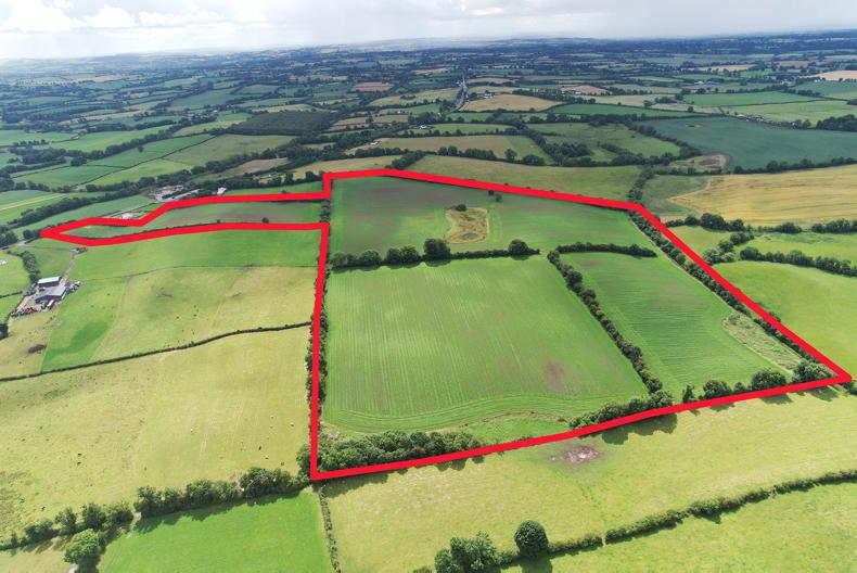 Tillage land on the market in Co Meath Free