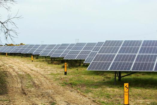 Construction starts on first joint Bord na Móna and ESB solar farm - Vimarsana News