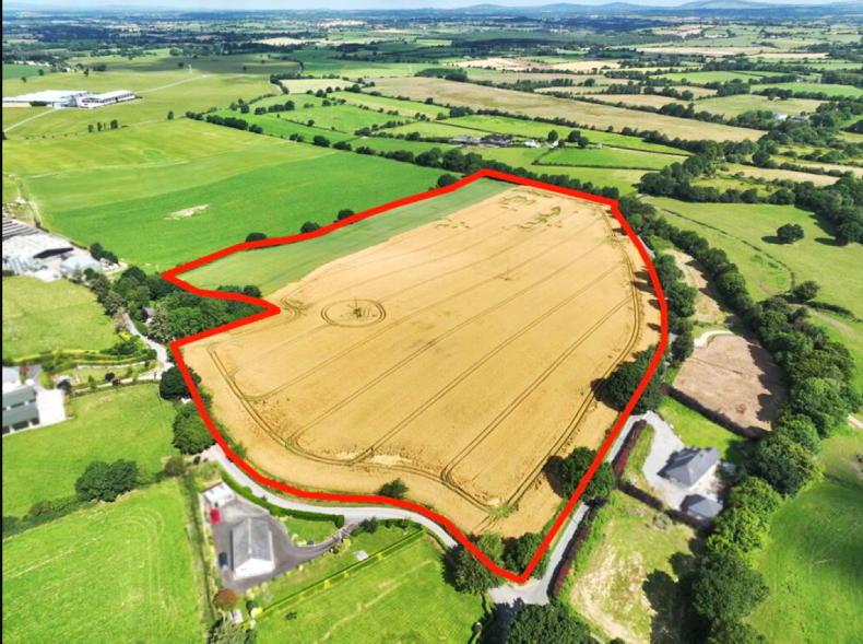 Tillage field for sale in Co Carlow - Vimarsana News