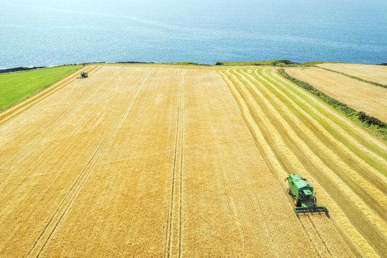 Spring barley harvest begins, as winter barley remains to be cut - Vimarsana News