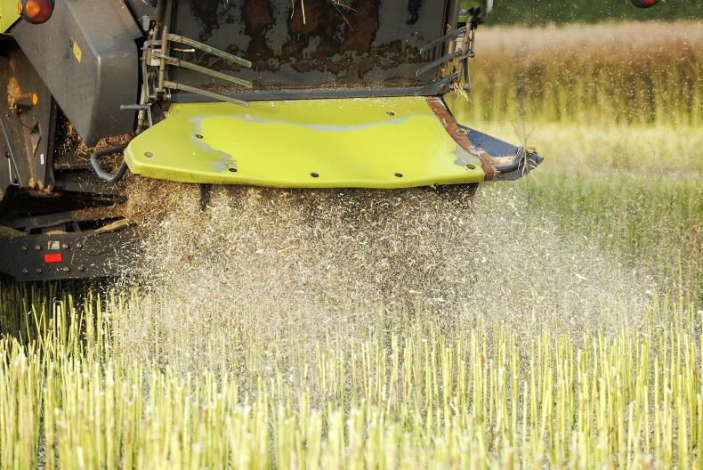 Tillage management: Work windows come, winter barley and OSR top of the list - Vimarsana News
