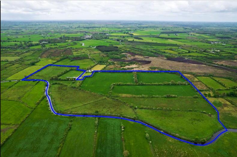 Galway farm with good cattle yard guided at €300,000 - Vimarsana News