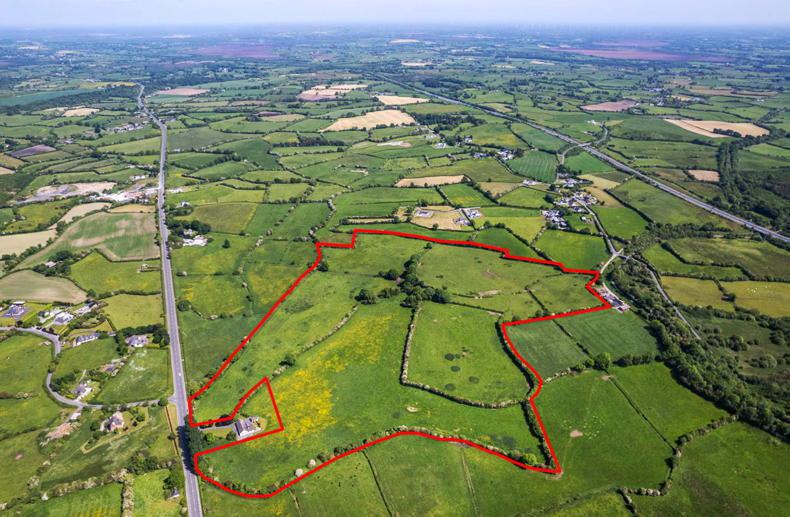 55ac farm close to motorway in Westmeath - Vimarsana News