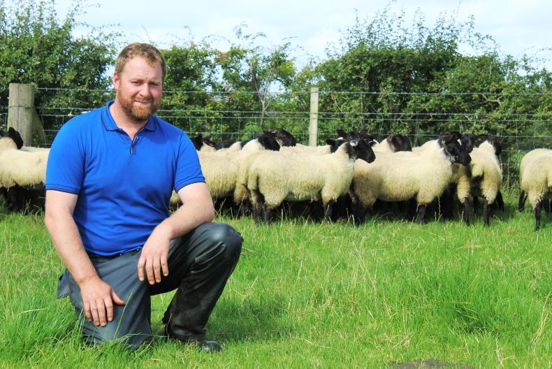My Farming Week: Alwyn McFarlane, Dungiven, Co Derry