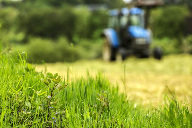 ACRES scorecard extension cannot delay farmer payments - IFA - Vimarsana News