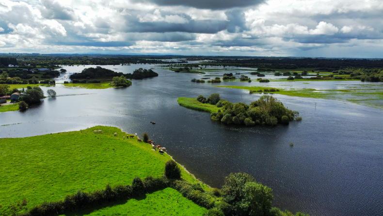 Up to 5,000 bales lost as flooding impacts Shannon Callows farmers - Vimarsana News