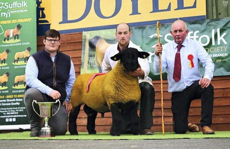 O'Keeffe's blessing in Blessington tops at €20,000 07 August 2023 Free - Vimarsana News