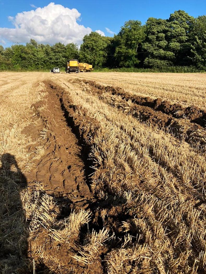 Drought and rain both reducing grain yields - Vimarsana News