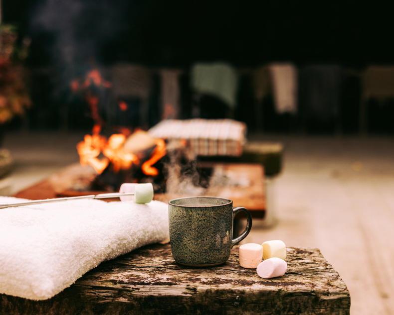 'Songs by the fire'; A Magical Evening of Campfire Music' - Vimarsana News