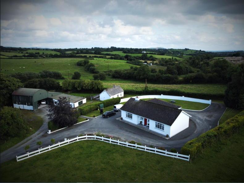 43ac Laois farm with second house - Vimarsana News