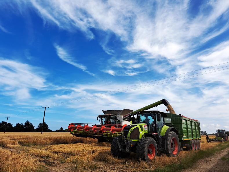 Harvest photos competition: some of the entries so far - Vimarsana News