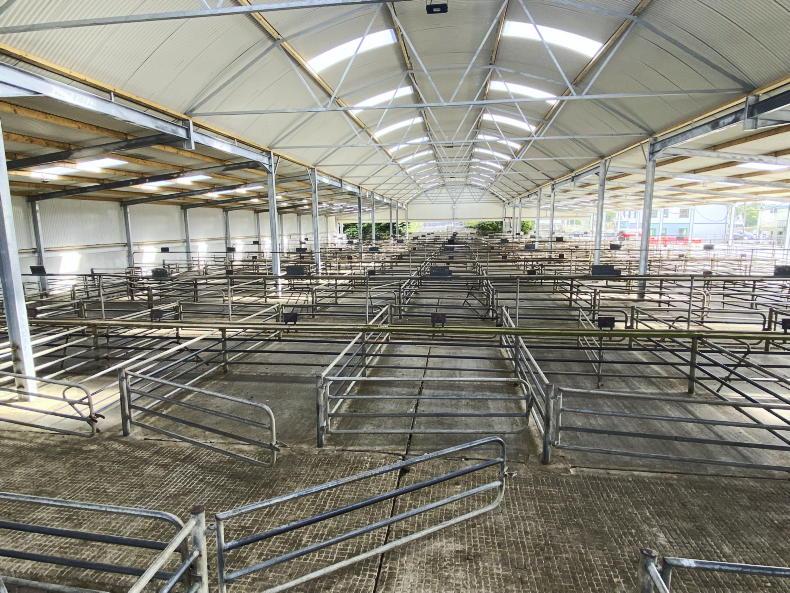Major facilities revamp for Athenry Mart - Vimarsana News