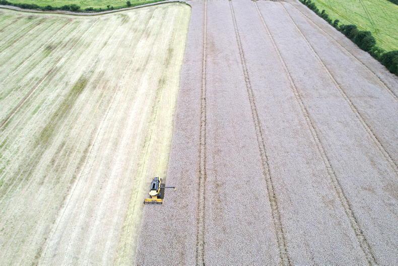 Mixed reports on yields across Tramlines farms - Vimarsana News
