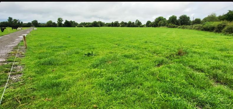 Tipperary farm has entitlements - and a good tenant - Vimarsana News