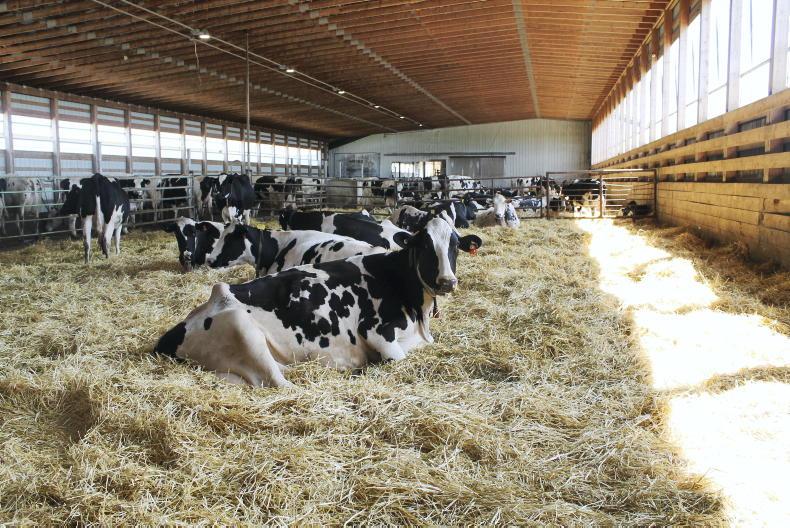 'New wave' of EU farmers buying dairy farms in Canada - Vimarsana News