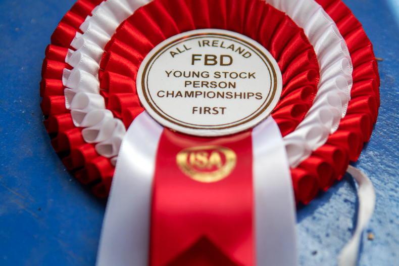 All roads lead to Cappamore for All Ireland Young Stockperson finals - Vimarsana News