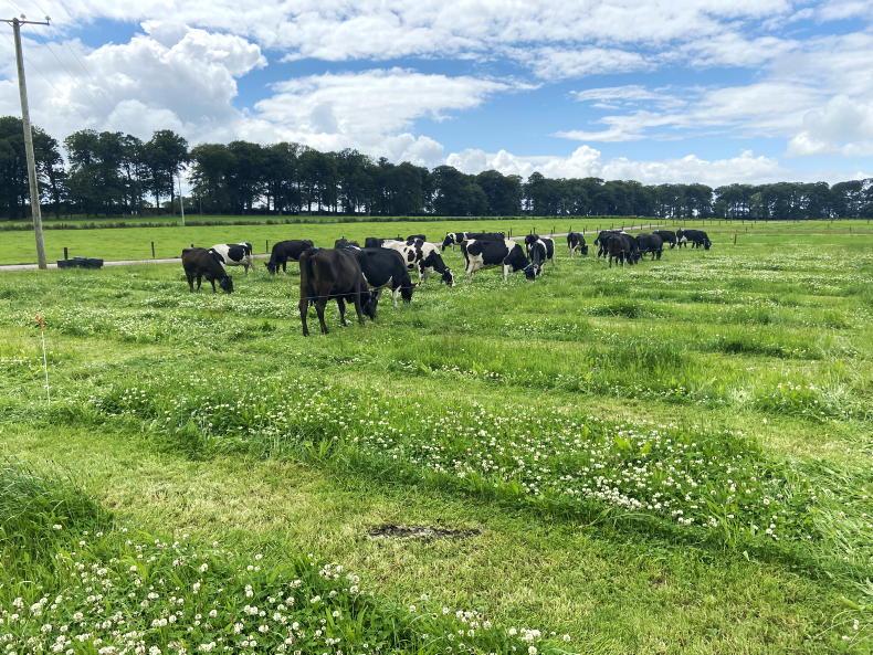 Superb grass growth rates as autumn beckons - Vimarsana News