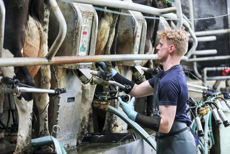 Agri jobs choice of three dairy farm manager roles this week Free