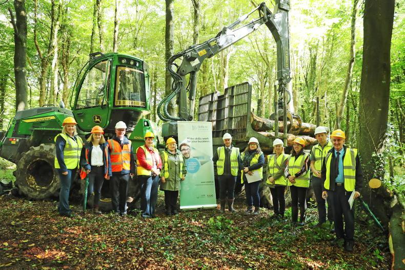 Teagasc launches new forestry training course - Vimarsana News