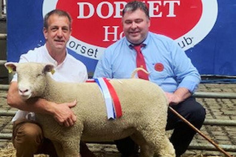 New record hit for Southern Ireland Dorset Breeders Club - Vimarsana News