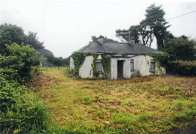 Lands for auction in Carlow and Roscommon - Vimarsana News
